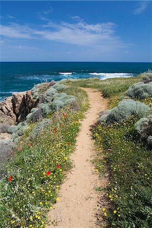 flowers greece - Coastal path with spring flowers, near Chania, Chania region, Crete, Greek Islands, Greece, Europe Stock Photo - Rights-Managed, Code: 841-06033537
