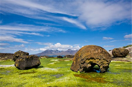 Giant erratic boulders on a seaweed bed on the Isle of Eigg, Inner Hebrides, Scotland, United Kingdom, Europe Stock Photo - Rights-Managed, Code: 841-06033829