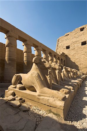 egypt - Ram headed sphinxes beyond the first pylon at Karnak Temple, Karnak, Thebes, UNESCO World Heritage Site, Egypt, North Africa, Africa Stock Photo - Rights-Managed, Code: 841-06033897