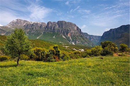 flowers greece - Wild flower meadow with the Astraka Towers and Vikos Gorge in the distance, Epirus, Greece, Europe Stock Photo - Rights-Managed, Code: 841-06033912