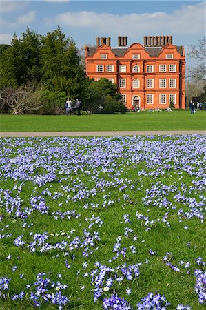 Glory of the Snow flowers in lawns near Kew Palace in spring, Royal Botanic Gardens, Kew, UNESCO World Heritage Site, London, England, United Kingdom, Europe Stock Photo - Rights-Managed, Code: 841-06344512