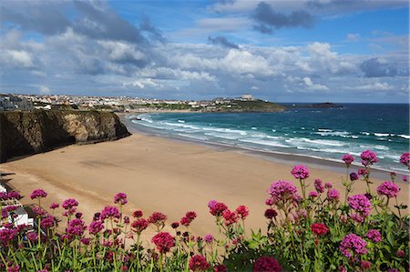 flowers in water - Great Western beach,  Newquay, Cornwall, England Stock Photo - Rights-Managed, Code: 841-06345145