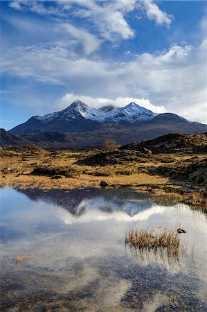 simsearch:841-06449943,k - View of the Black Cuillin mountain Sgurr nan Gillean, Glen Sligachan, Isle of Skye, Scotland Stock Photo - Rights-Managed, Code: 841-06345316