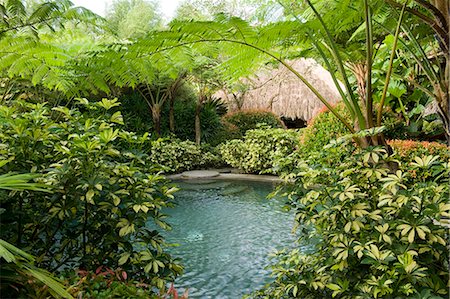 Pool in a tropical garden, Laguna, Philippines, Southeast Asia, Asia Foto de stock - Con derechos protegidos, Código: 841-06341362