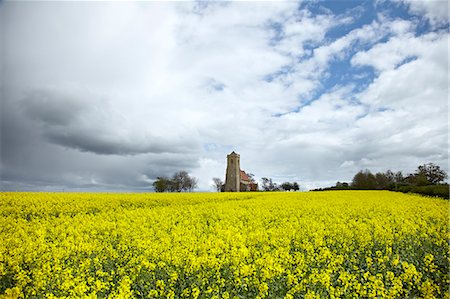 farm uk - St. Andrew's Church, Wood Walton, Cambridgeshire, England, United Kingdom, Europe Stock Photo - Rights-Managed, Code: 841-06341843