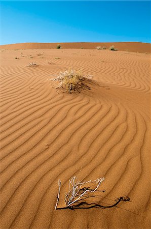 sands and desert and nobody and landscape - Sossusvlei, Namib Naukluft Park, Namib Desert, Namibia, Africa Stock Photo - Rights-Managed, Code: 841-06342173