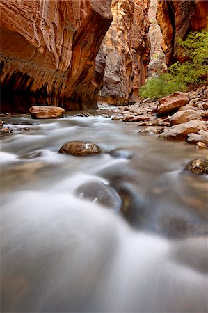 Cascade in The Narrows of the Virgin River, Zion National Park, Utah, United States of America, North America Stock Photo - Rights-Managed, Code: 841-06342452