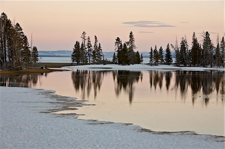 Evergreens along Yellowstone Lake in the early spring at sunset, Yellowstone National Park, UNESCO World Heritage Site, Wyoming, United States of America, North America Stock Photo - Rights-Managed, Code: 841-06342472