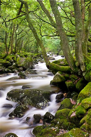 simsearch:841-06031530,k - Rocky River Plym near Shaugh Prior in Dartmoor National Park, Devon, England, United Kingdom, Europe Stock Photo - Rights-Managed, Code: 841-06343389