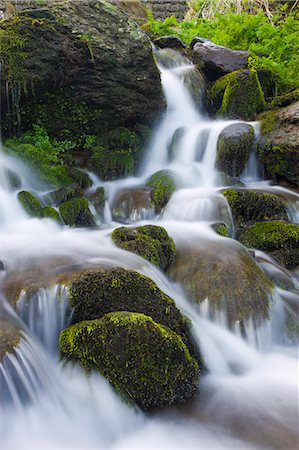simsearch:841-06030590,k - Cascading stream over moss covered boulders, Exmoor National Park, Devon, England, United Kingdom, Europe Stock Photo - Rights-Managed, Code: 841-06343381