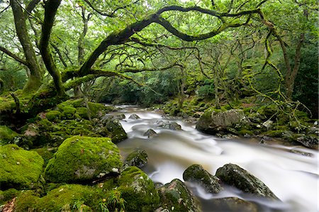 simsearch:841-06031530,k - Rocky River Plym near Shaugh Prior in Dartmoor National Park, Devon, England, United Kingdom, Europe Stock Photo - Rights-Managed, Code: 841-06343390