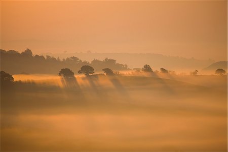simsearch:841-06031530,k - Misty dawn in fields outside Crediton, Devon, England, United Kingdom, Europe Stock Photo - Rights-Managed, Code: 841-06343406