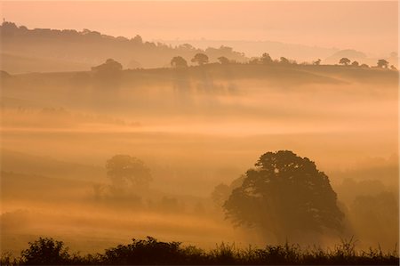 simsearch:841-06031530,k - Mist shrouded Devon landscape at dawn near Crediton, England, United Kingdom, Europe Stock Photo - Rights-Managed, Code: 841-06343407