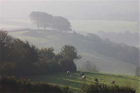 simsearch:841-06031530,k - Foggy autumnal morning near Blagdon Cross, Exmoor National Park, Somerset, England, United Kingdom, Europe Stock Photo - Rights-Managed, Code: 841-06343409