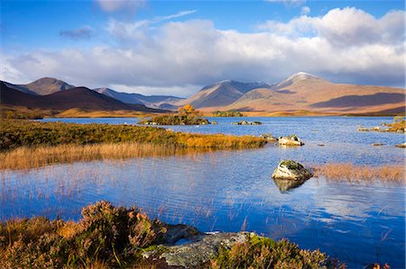 simsearch:841-06031530,k - Lochan Nah Achlaise on Rannoch Moor in the Autumn, Highlands, Scotland, United Kingdom, Europe Stock Photo - Rights-Managed, Code: 841-06343421