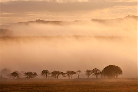 simsearch:841-06343543,k - Mist covered moorland at sunrise, near Powdermills, Dartmoor, Devon, England, United Kingdom, Europe Foto de stock - Con derechos protegidos, Código: 841-06343605