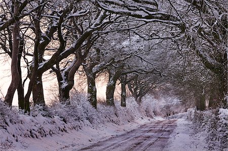 simsearch:700-03768721,k - Snow covered country lane through trees, Exmoor, Somerset, England, United Kingdom, Europe Stock Photo - Rights-Managed, Code: 841-06343627