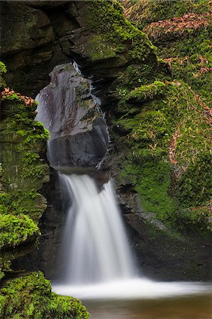 simsearch:841-06343543,k - St. Nectan's Kieve waterfall in St. Nectans Glen, near Tintagel, Cornwall, England, United Kingdom, Europe Foto de stock - Con derechos protegidos, Código: 841-06343646