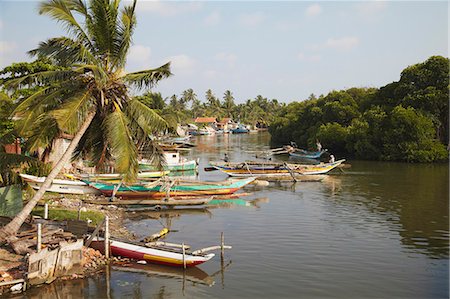 Boats in Negombo Lagoon, Negombo, Western Province, Sri Lanka, Asia Stock Photo - Rights-Managed, Code: 841-06343657