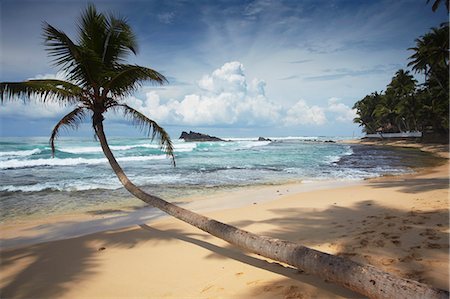 scenic and ocean - Dalawela beach, Southern Province, Sri Lanka, Asia Stock Photo - Rights-Managed, Code: 841-06343765