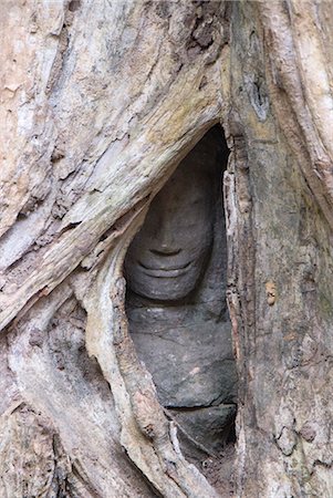 Ta Prohm, Angkor Archaeological Park, UNESCO World Heritage Site, Siem Reap, Cambodia, Indochina, Southeast Asia, Asia Foto de stock - Con derechos protegidos, Código: 841-06343849