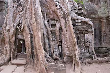 Ta Prohm, Angkor parc archéologique, patrimoine mondial de l'UNESCO, Siem Reap, Cambodge, Indochine, l'Asie du sud-est, Asie Photographie de stock - Rights-Managed, Code: 841-06343851