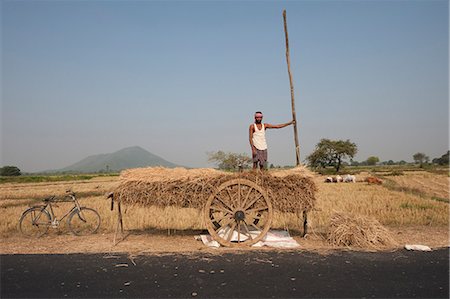 pictures of agriculture in asia - Local man collecting rice straw from the fields on wooden cart with wooden wheels, rural Orissa, India, Asia Stock Photo - Rights-Managed, Code: 841-06343949