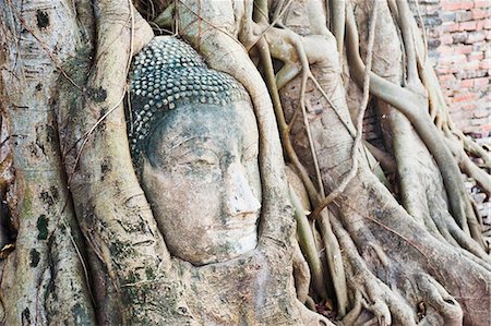 simsearch:841-06444990,k - Large stone Buddha head in fig tree roots, Wat Mahathat, Ayutthaya City, UNESCO World Heritage Site, Thailand, Southeast Asia, Asia Stock Photo - Rights-Managed, Code: 841-06445008