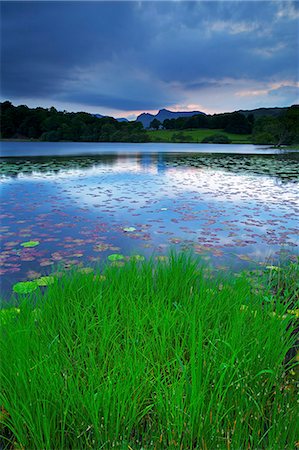 Loughrigg Tarn, Lake District National Park, Cumbria, England, United Kingdom, Europe Stock Photo - Rights-Managed, Code: 841-06445809