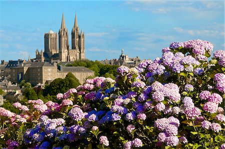 stereotypical french - Panorama with pink and blue hydrangeas in the foreground and Notre Dame cathedral on the skyline of the town of Coutances, Cotentin, Normandy, France, Europe Stock Photo - Rights-Managed, Code: 841-06445980