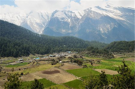 simsearch:841-06446529,k - Dhaulagiri Himal seen from Titi, Annapurna Conservation Area, Dhawalagiri (Dhaulagiri), Western Region (Pashchimanchal), Nepal, Himalayas, Asia Stock Photo - Rights-Managed, Code: 841-06446588