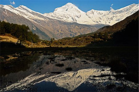 simsearch:841-06446529,k - Dhaulagiri Himal seen from Titi, Annapurna Conservation Area, Dhawalagiri (Dhaulagiri), Western Region (Pashchimanchal), Nepal, Himalayas, Asia Stock Photo - Rights-Managed, Code: 841-06446594
