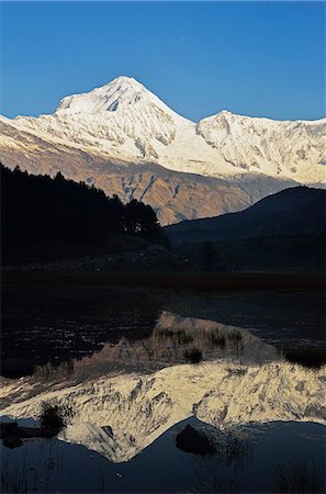 simsearch:841-06446529,k - Dhaulagiri Himal seen from Titi, Annapurna Conservation Area, Dhawalagiri (Dhaulagiri), Western Region (Pashchimanchal), Nepal, Himalayas, Asia Stock Photo - Rights-Managed, Code: 841-06446592