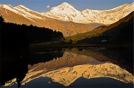 simsearch:841-06446529,k - Dhaulagiri Himal seen from Titi, Annapurna Conservation Area, Dhawalagiri (Dhaulagiri), Western Region (Pashchimanchal), Nepal, Himalayas, Asia Stock Photo - Rights-Managed, Code: 841-06446593