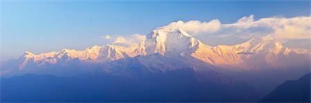 simsearch:841-06446529,k - Dhaulagiri Himal seen from Khopra, Annapurna Conservation Area, Dhawalagiri (Dhaulagiri), Western Region (Pashchimanchal), Nepal, Himalayas, Asia Stock Photo - Rights-Managed, Code: 841-06446600