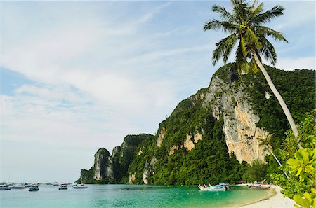 Ton Sai Bay, Ko Phi Phi, Krabi Province, Thailand, Southeast Asia, Asia Stock Photo - Rights-Managed, Code: 841-06446656