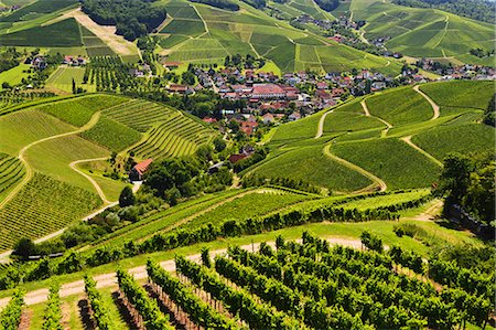 simsearch:841-07590142,k - View of vineyards and Durbach village, Ortenau, Baden-Wurttemberg, Germany, Europe Stock Photo - Rights-Managed, Code: 841-06446751