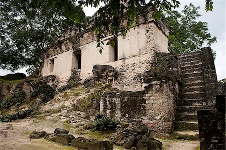simsearch:841-07523215,k - Tikal National Park (Parque Nacional Tikal), UNESCO World Heritage Site, Guatemala, Central America Foto de stock - Con derechos protegidos, Código: 841-06447354