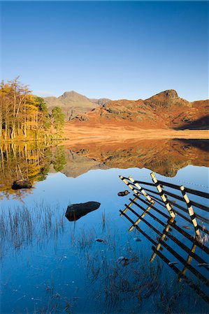 simsearch:841-06449943,k - Mirror like reflections at Blea Tarn, Lake District National Park, Cumbria, England, United Kingdom, Europe Stock Photo - Rights-Managed, Code: 841-06447449