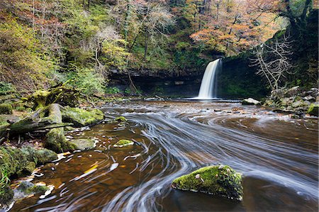Sgwd Gwladus waterfall surrounded by autumnal foliage, near Ystradfellte, Brecon Beacons National Park, Powys, Wales, United Kingdom, Europe Stock Photo - Rights-Managed, Code: 841-06447441