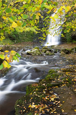 Waterfall and autumn foliage at Blaen-y-Glyn, Brecon Breacons National Park, Powys, Wales, United Kingdom, Europe Stock Photo - Rights-Managed, Code: 841-06447442