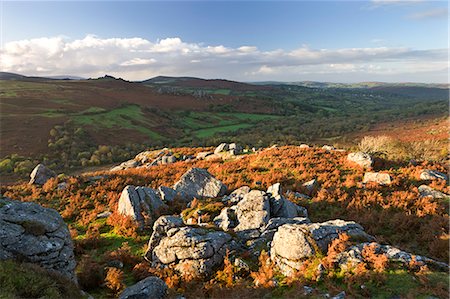 simsearch:841-06343543,k - Moorland in autumn, Dartmoor National Park, Devon, England, United Kingdom, Europe Foto de stock - Con derechos protegidos, Código: 841-06447488