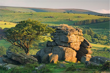 Dartmoor moorland and countryside in summer time, Saddle Tor, Dartmoor, Devon, England, United Kingdom, Europe Stock Photo - Rights-Managed, Code: 841-06447590