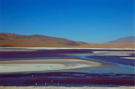 simsearch:841-06449731,k - Laguna Colorada (Red Lagoon), a shallow salt lake in the southwest of the altiplano, Eduardo Avaroa Andean Fauna National Reserve, Bolivia, South America Stock Photo - Rights-Managed, Code: 841-06449748