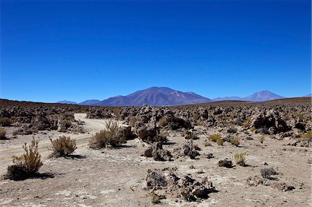 simsearch:841-06449731,k - Southwest Highlands, Bolivia, South America Stock Photo - Rights-Managed, Code: 841-06449762