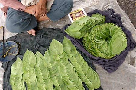 Betel, leaf of a vine belonging to the Piperaceae family, used as a stimulant, antiseptic and breath-freshener, Republic of the Union of Myanmar (Burma), Asia Stock Photo - Rights-Managed, Code: 841-06500261