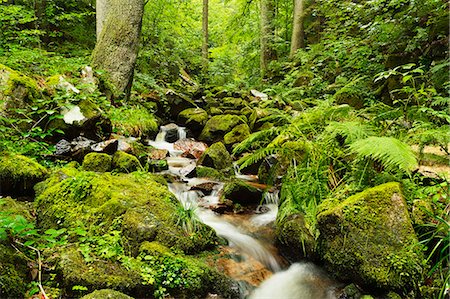 simsearch:841-06500564,k - Windberg waterfall, near St. Blasien, Black Forest, Baden-Wurttemberg, Germany, Europe Stock Photo - Rights-Managed, Code: 841-06500563
