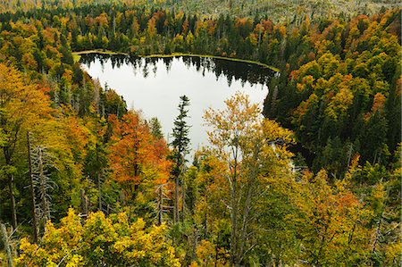 Rachelsee (Rachel Lake), Grosser Rachel, Bavarian Forest National Park, Bavarian Forest, Bavaria, Germany, Europe Stock Photo - Rights-Managed, Code: 841-06500574