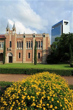 Rice University, Uptown District, Houston, Texas, United States of America, North America Stock Photo - Rights-Managed, Code: 841-06500954