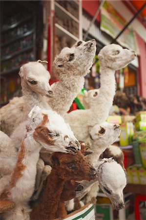 Stuffed baby llamas in Witches' Market, La Paz, Bolivia, South America Stock Photo - Rights-Managed, Code: 841-06501831